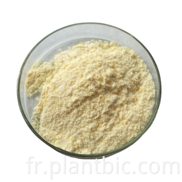 Hot sell: 100% natural Pygeum africanum serenoa repens extract 100:1 powder.